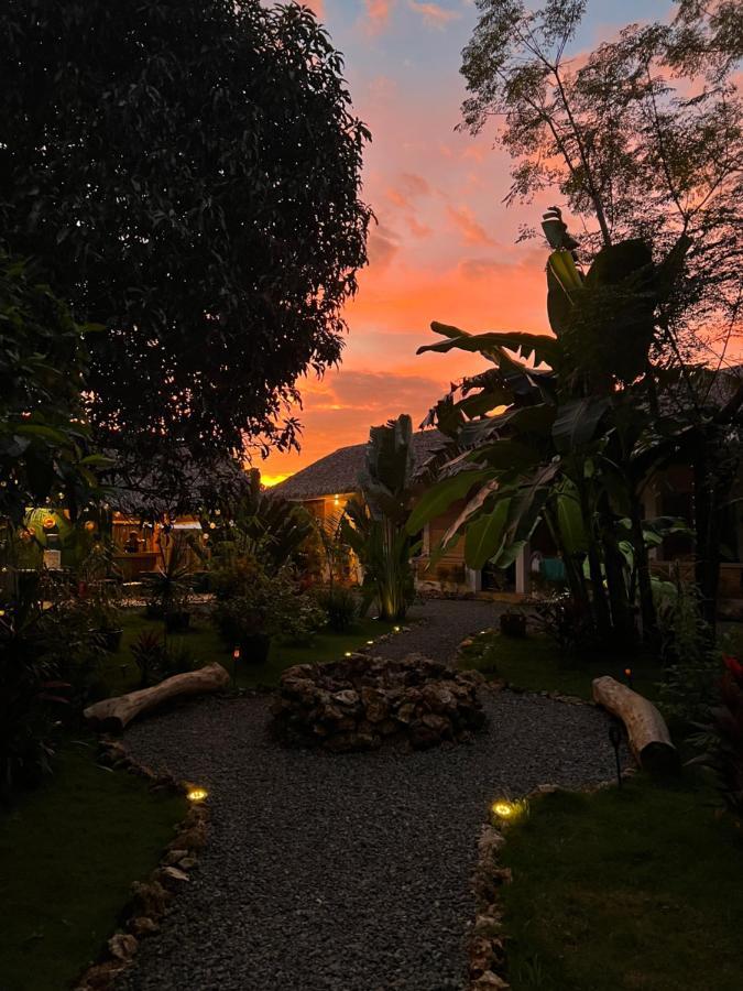 Nautilus Hostel & Hammocks パングラオ エクステリア 写真