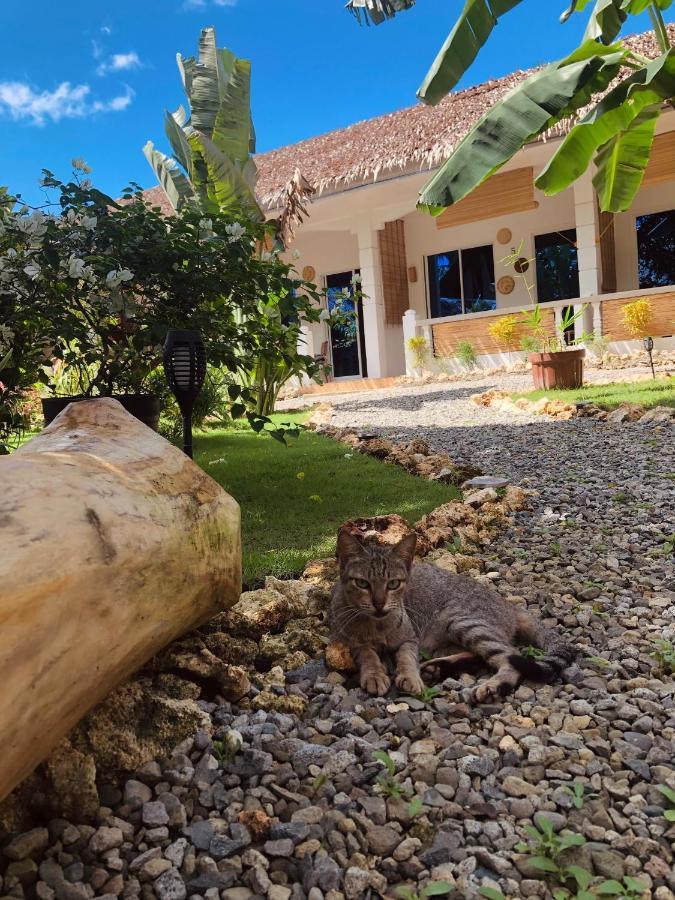 Nautilus Hostel & Hammocks パングラオ エクステリア 写真