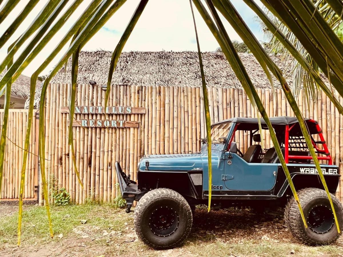 Nautilus Hostel & Hammocks パングラオ エクステリア 写真