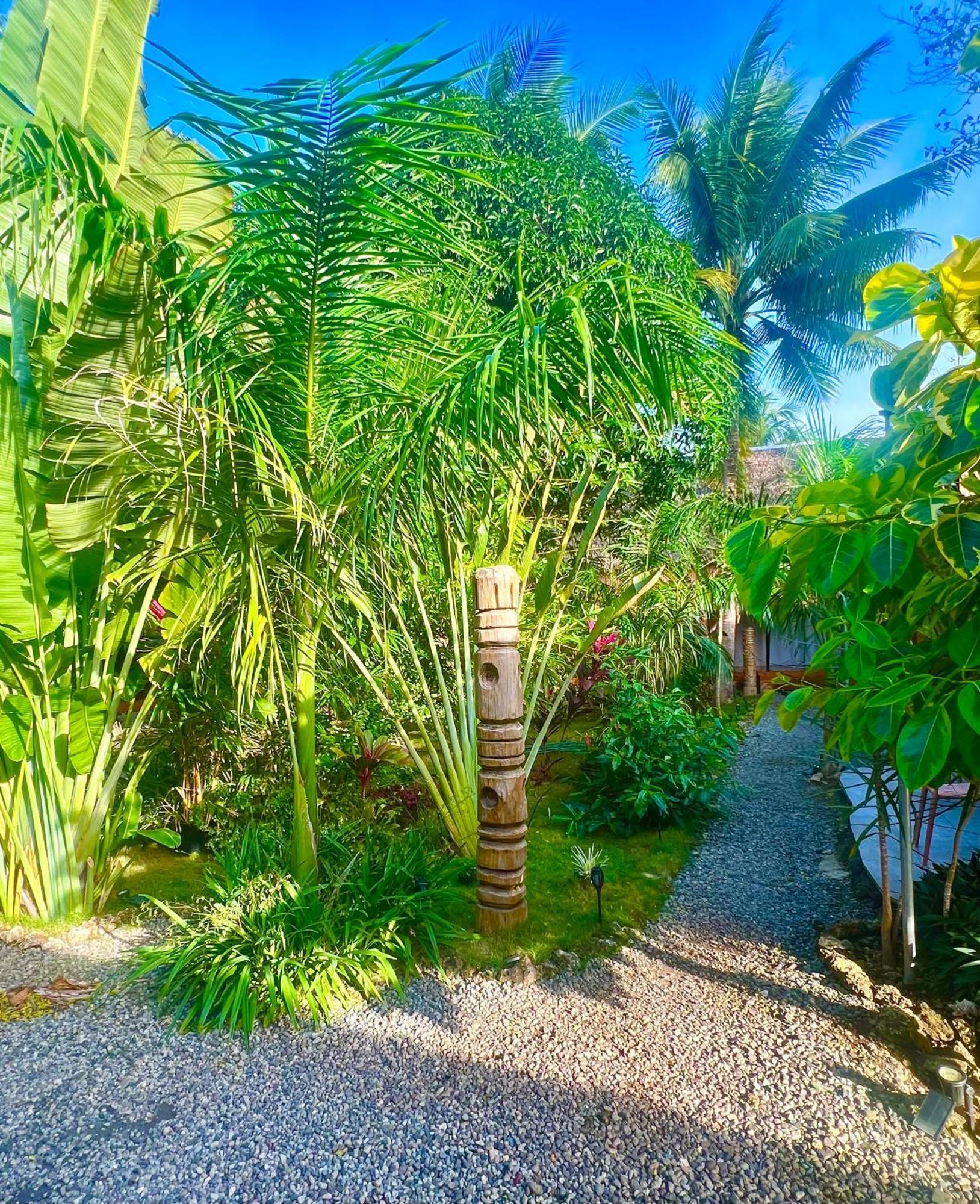Nautilus Hostel & Hammocks パングラオ エクステリア 写真