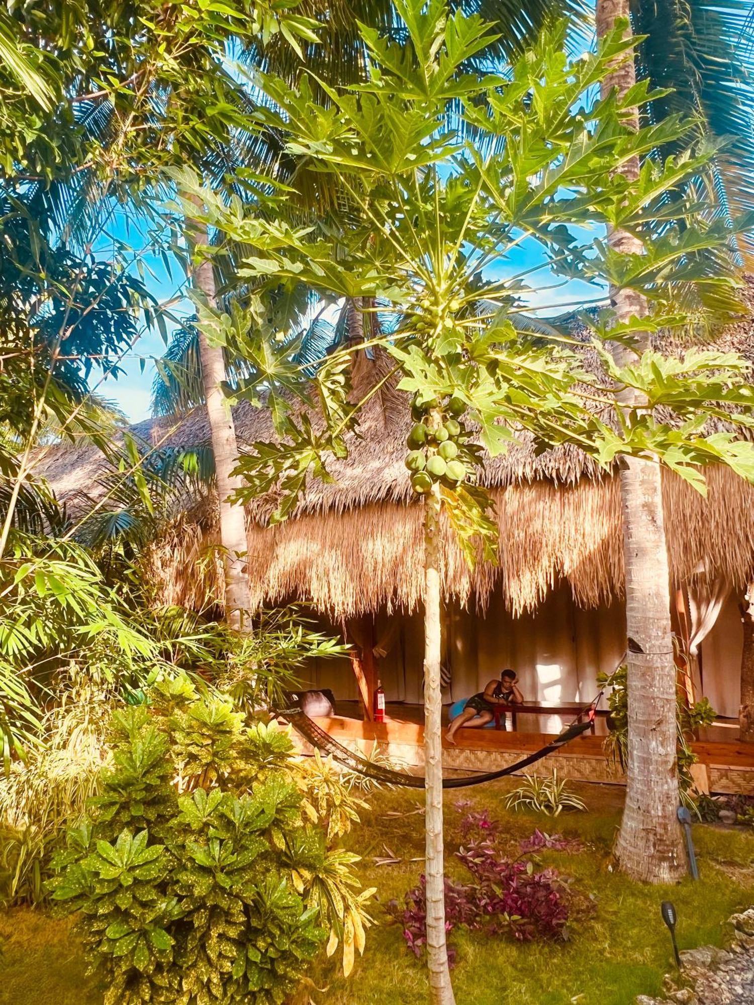 Nautilus Hostel & Hammocks パングラオ エクステリア 写真