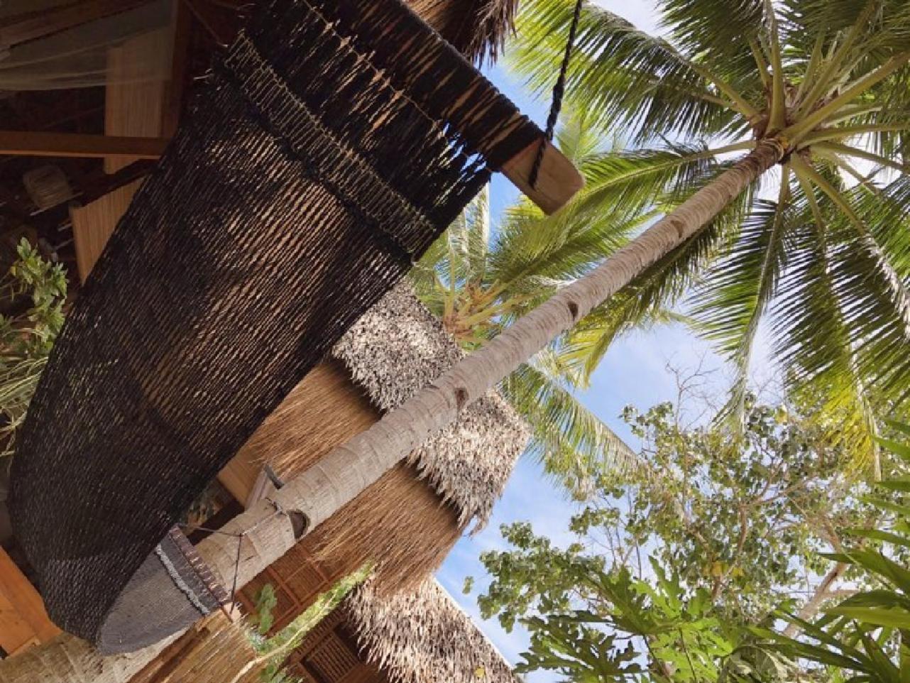 Nautilus Hostel & Hammocks パングラオ エクステリア 写真