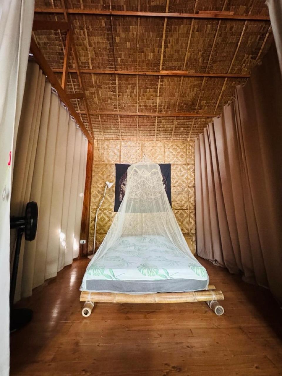 Nautilus Hostel & Hammocks パングラオ エクステリア 写真