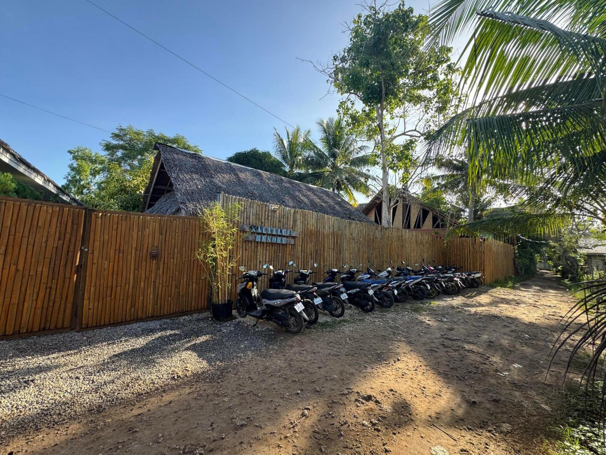 Nautilus Hostel & Hammocks パングラオ エクステリア 写真