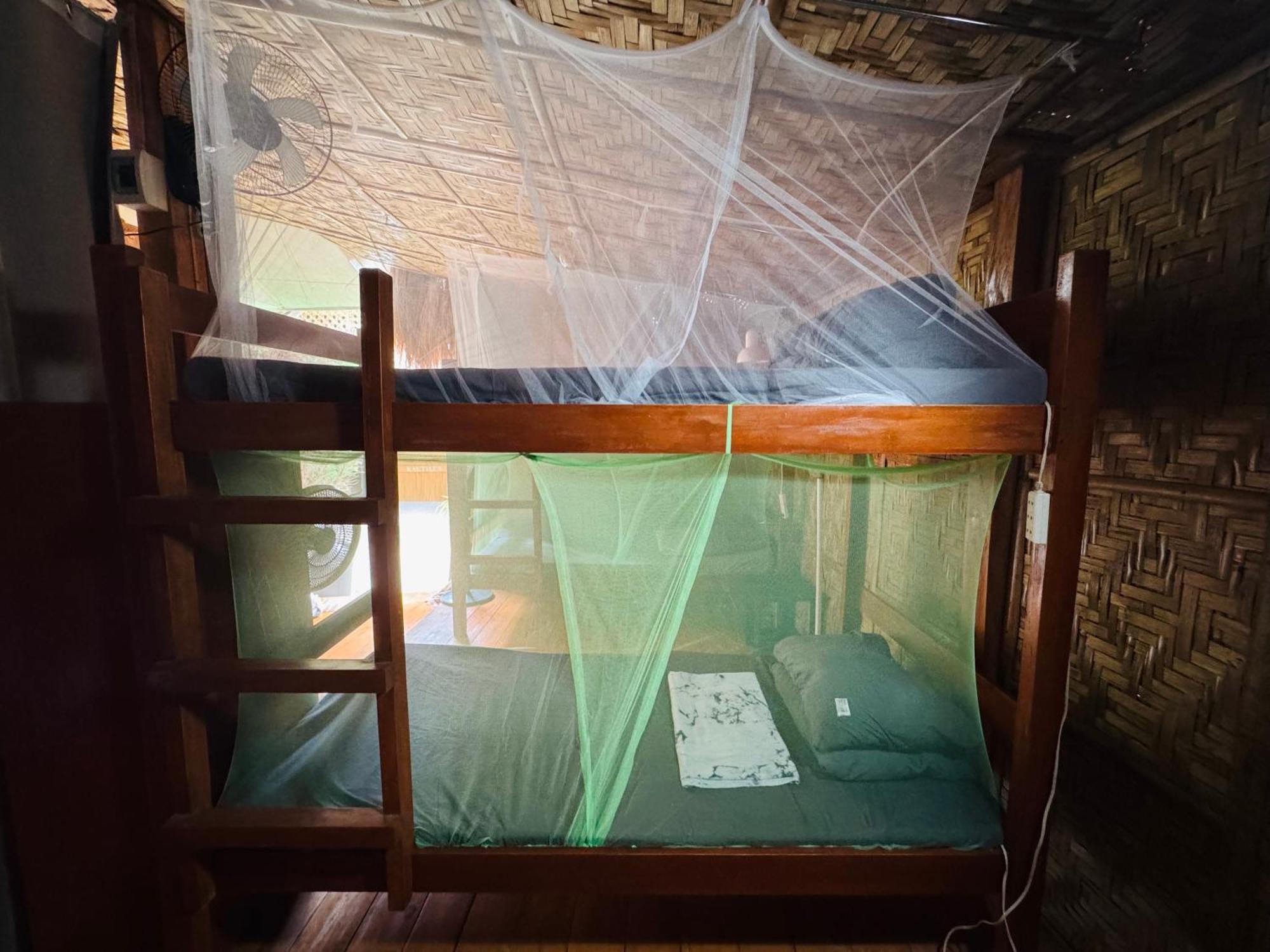 Nautilus Hostel & Hammocks パングラオ エクステリア 写真